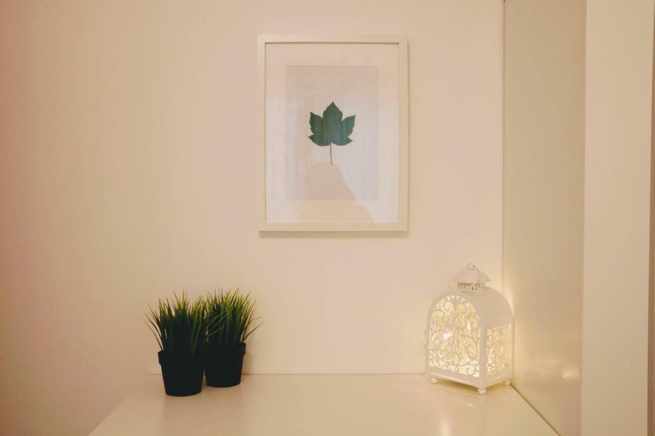 Green Wall Apartment Kaprun Eksteriør billede